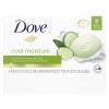 Dove Beauty Bar Soap Cool Moisture Cucumber & Green Tea Scent, 6 Bars for Refreshed Skin, Leaves Skin Refreshed 3.75 oz(3.75 Ounce (Pack of 24))