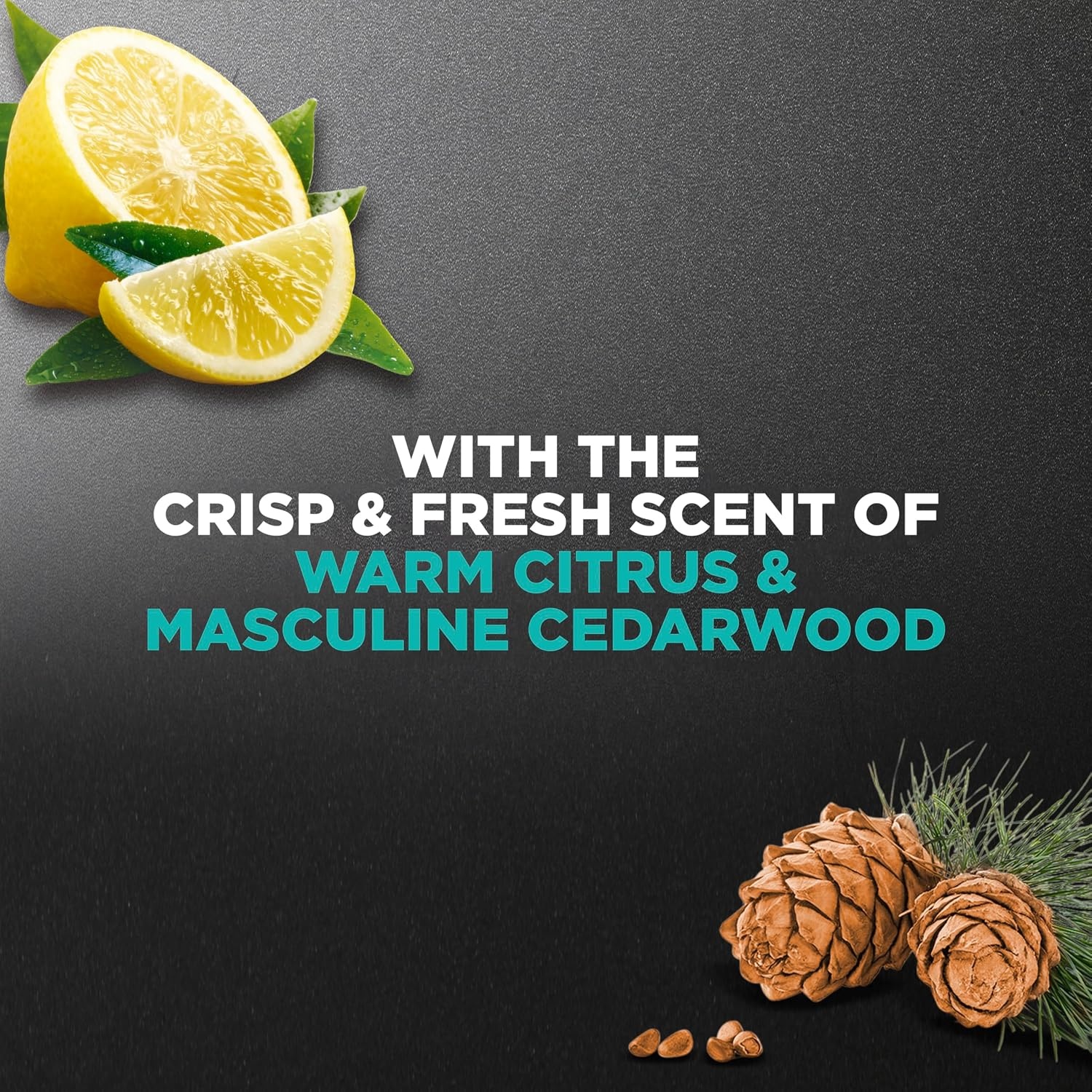 image:imageDOVE MEN Moisturizing Body Wash for Men Bourbon Vanilla Hazelnut 26ozSea Salt Citrus