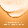 Dove Cinnamon Pumpkin Pie Body Scrub Exfoliates & Moisturizes Skin 15 OZ
