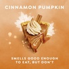 Dove Cinnamon Pumpkin Pie Body Scrub Exfoliates & Moisturizes Skin 15 OZ