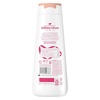 Dove Spiced Chai Latte Liquid Body Wash for Deep Nourishment Holiday Treats Limited Edition, 20 fl oz(Cookies)