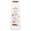 Dove Spiced Chai Latte Liquid Body Wash for Deep Nourishment Holiday Treats Limited Edition, 20 fl oz(Fragranced)