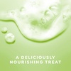 Dove Spiced Chai Latte Liquid Body Wash for Deep Nourishment Holiday Treats Limited Edition, 20 fl oz(Fresh)