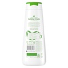 Dove Spiced Chai Latte Liquid Body Wash for Deep Nourishment Holiday Treats Limited Edition, 20 fl oz(Fresh)