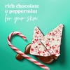 Dove Spiced Chai Latte Liquid Body Wash for Deep Nourishment Holiday Treats Limited Edition, 20 fl oz(Peppermint)